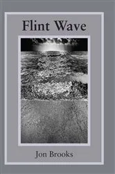 Book cover of Flint Wave by Jon Brooks
