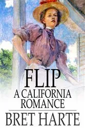 Book cover of Flip by Unknown