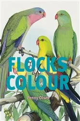 Book cover of Flocks of Colour by Penny Olsen