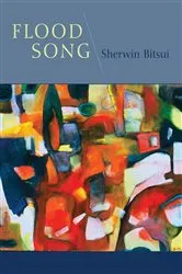 Book cover of Flood Song by Sherwin Bitsui