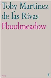 Book cover of Floodmeadow by Toby Martinez de las Rivas