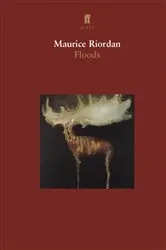 Book cover of Floods by Maurice Riordan