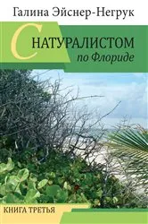 Book cover of Florida Through the Eyes of a Biologist by Galina Eisner Negrouk
