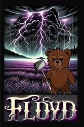 Book cover of Floyd- Deluxe Edition (2nd ed.) by Q Harveson