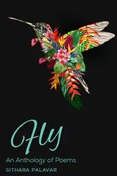Book cover of Fly! by Karl Newsom Edwards