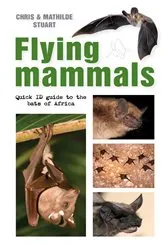 Book cover of Flying Mammals by Chris Stuart