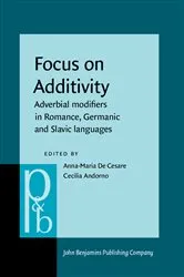 Book cover of Focus on Additivity by Anna-Maria De Cesare