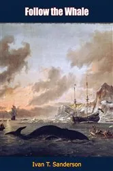 Book cover of Follow the Whale by Unknown