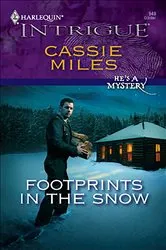 Book cover of Footprints in the Snow by Alison Bellringer