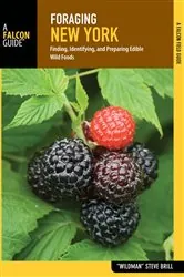 Book cover of Foraging New York by Unknown