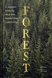 Book cover of Forest by Matt Collins