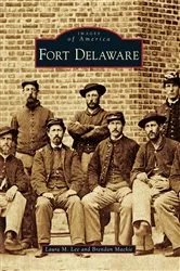 Book cover of Fort Delaware by Laura M. Lee