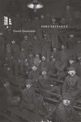Book cover of Fort Necessity by David Gewanter