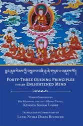 Book cover of Forty-Three Guiding Principles for an Enlightened Mind by Nyima Dakpa