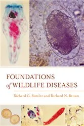 Book cover of Foundations of Wildlife Diseases by Richard G. Botzler