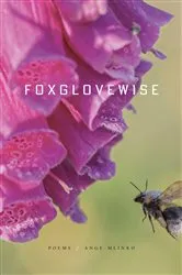 Book cover of Foxglovewise by Ange Mlinko