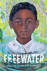 Book cover of Freewater by Amina Luqman-Dawson