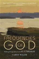 Book cover of Frequencies of God by Carys Walsh