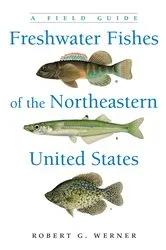 Book cover of Freshwater Fishes of the Northeastern United States by Robert G. Werner