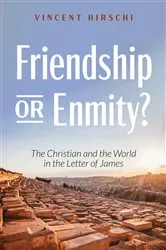Book cover of Friendship or Enmity? by Vincent Hirschi