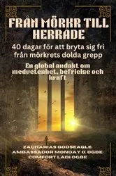 Book cover of FRÅN MÖRKR TILL HERRÅDE - 40 dagar för att bryta sig fri från mörkrets dolda grepp by Unknown