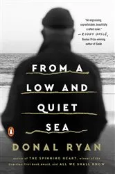 Book cover of From a Low and Quiet Sea by Donal Ryan