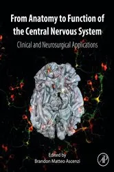 Book cover of From Anatomy to Function of the Central Nervous System by Brandon Matteo Ascenzi MS