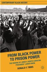 Book cover of From Black Power to Prison Power by D. Tibbs