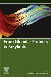 Book cover of From Globular Proteins to Amyloids by Irena Roterman-Konieczna PhD