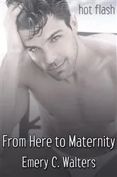 Book cover of From Here to Maternity by Kylie Doust