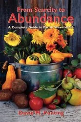 Book cover of From Scarcity to Abundance by David Ponting