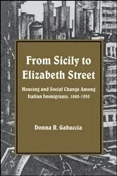 Book cover of From Sicily to Elizabeth Street by Donna R. Gabaccia