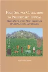 Book cover of From Surface Collection to Prehistoric Lifeways by John Chapman
