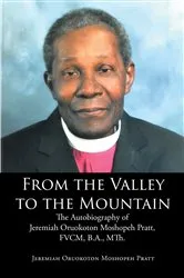 Book cover of From the Valley to the Mountain by Jeremiah Oruokoton Moshopeh Pratt