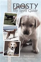 Book cover of Frosty My Spirit Guide by Bethany-Elizabeth Faye Hansen