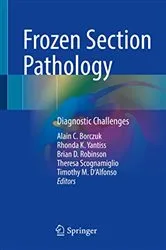 Book cover of Frozen Section Pathology by Alain C. Borczuk