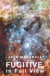 Book cover of Fugitive, in Full View by Jack Marshall