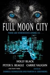 Book cover of Full Moon City by Darrell Schweitzer