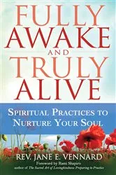 Book cover of Fully Awake and Truly Alive by Rev. Jane E. Vennard