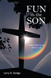 Book cover of Fun in the Son by Larry D. Sledge