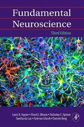 Book cover of Fundamental Neuroscience (3rd ed.) by Larry Squire