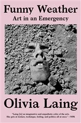 Book cover of Funny Weather: Art in an Emergency by Olivia Laing