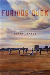 Book cover of Furious Dusk by Unknown
