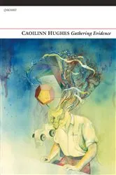 Book cover of Gathering Evidence by Caoilinn Hughes