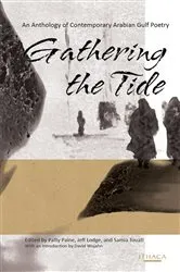 Book cover of Gathering the Tide by Patty Paine
