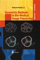 Book cover of Geometric Methods in Bio-Medical Image Processing by Ravikanth Malladi