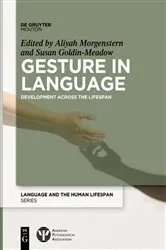 Book cover of Gesture in Language by Aliyah Morgenstern