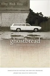 Book cover of Ghostbread by Unknown