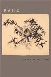 Book cover of Ghostly Figures by Ann Keniston