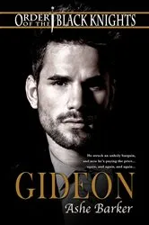 Book cover of Gideon by Jacquelyn Frank